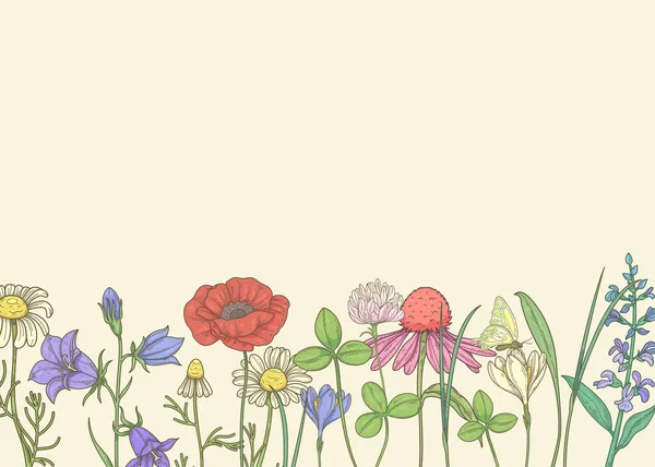 野の花のパターンを持つ光の背景 — ストックベクタ