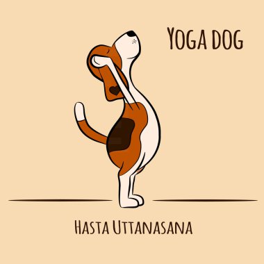 komik köpek Surya Namaskara konumunu Yoga yapıyor