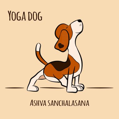 Karikatür köpek yoga poz Ashva Sanchalasana gösterir