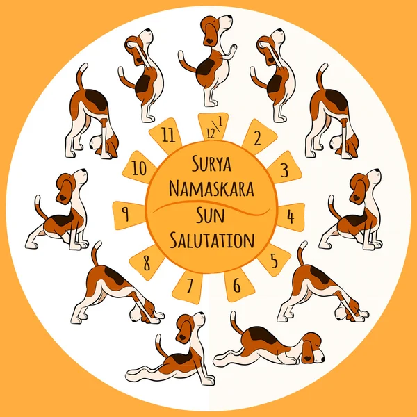 Funny dog doing yoga position of Surya Namaskara — Stock Vector