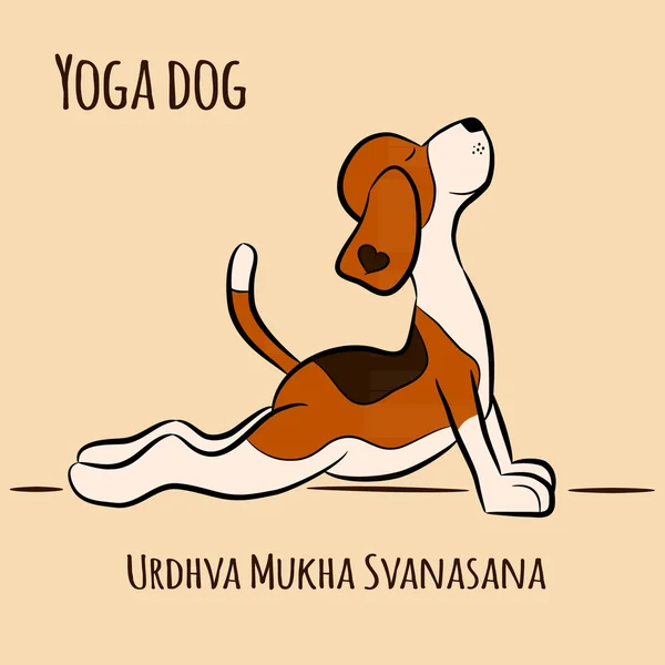 Drôle de chien faisant position de yoga de Surya Namaskara — Image vectorielle