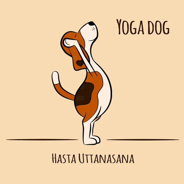 Grappige hond doen yoga positie van Surya Namaskara — Stockvector