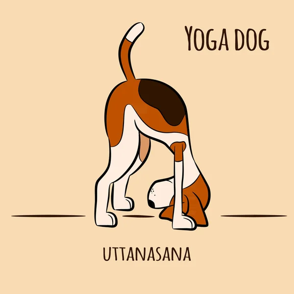 Divertente cane che fa yoga posizione di Surya Namaskara — Vettoriale Stock