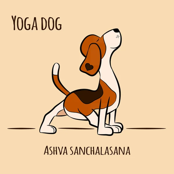 Cão dos desenhos animados mostra pose de ioga Ashva Sanchalasana — Vetor de Stock
