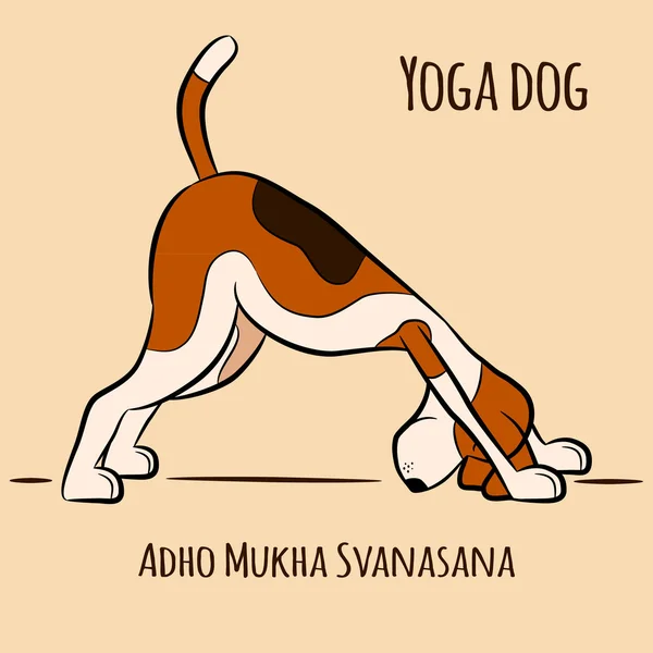 Cão dos desenhos animados mostra pose de ioga Adho Mukha Svanasana —  Vetores de Stock