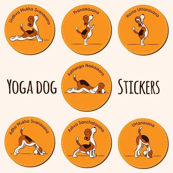 Dibujos animados perro divertido haciendo yoga — Vector de stock