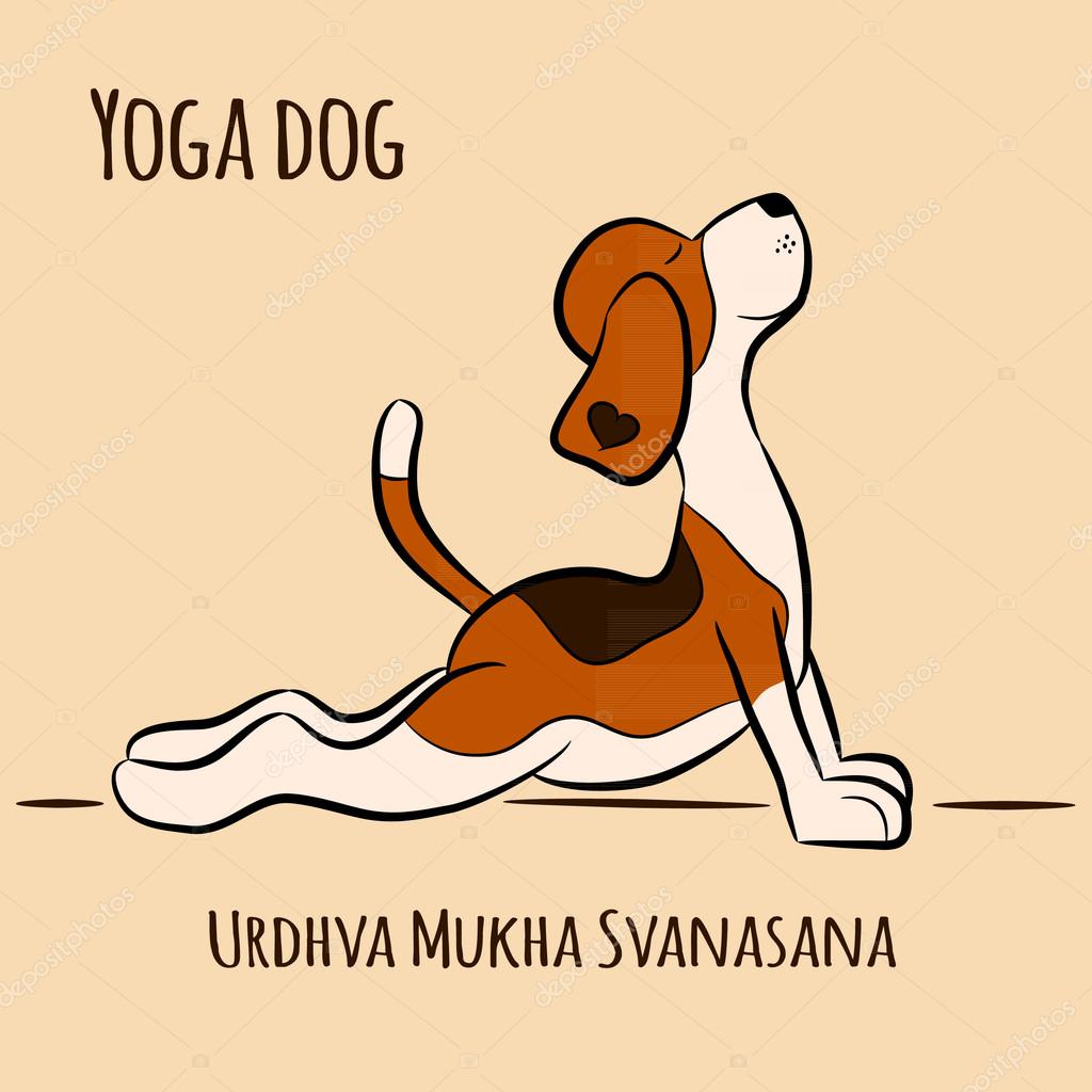 Funny dog doing yoga position of Surya Namaskara Stock Vector Image by © #108827028 Funny dog doing yoga position of Surya Namaskara Stock Vector Image by © #108827028