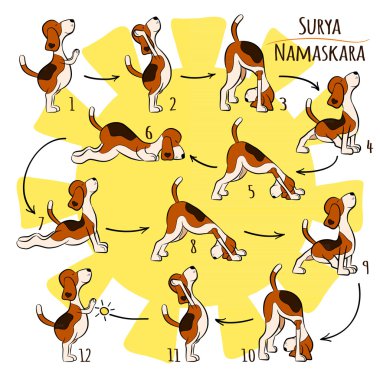 dog doing yoga position of Surya Namaskara clipart