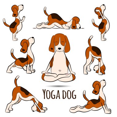 beagle doing yoga position clipart