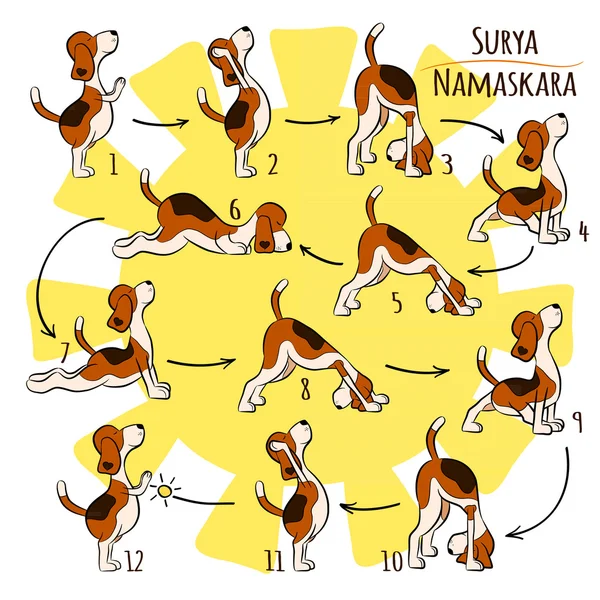 Cane che fa posizione yoga di Surya Namaskara — Vettoriale Stock