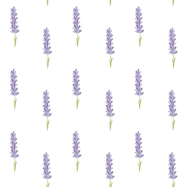 Naadloze patroon met lavendel. — Stockvector