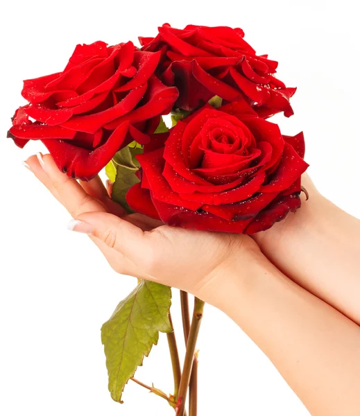 Üç kırmızı gül buketi tutan kadının el.