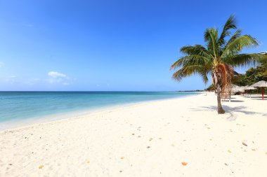 Küba'da vızıldamak Beach