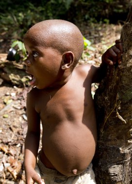 Bagyeli pigmeler Kamerun üzerinden