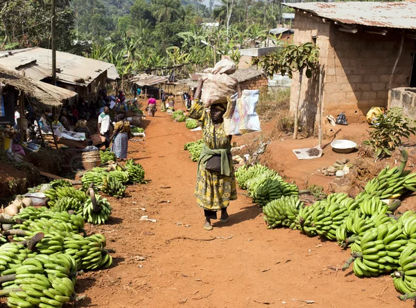 Mercado local en Camerún — Foto de Stock