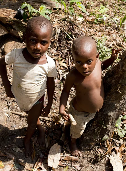 Bagyeli Pigmeos de Camerún — Foto de Stock