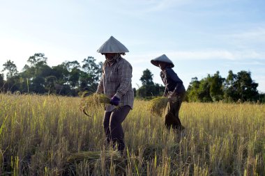 Farmers in Cambodia clipart
