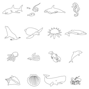 Deniz yaşamı. Görüntünün bir kontur