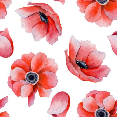 Bahar çiçekleri için kırmızı haşhaş sulu boya desenli beyaz. Botanik el çizimi, tarla şakayıkları ile narin kumaşlar ve kır çiçeklerinin duvar kağıtları için çiçekleri tekrarlar..