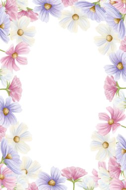 Dikey pastel çiçekli kart şablonu beyaza izole edilmiş. Bahar çiçekleri açan suluboya. Kozmos kır çiçekleri pembe ve mor renkli narin romantik tasarımlar için..