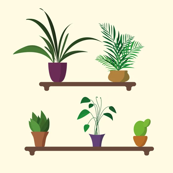 Houseplants on shelf in flat design — Stock Vector