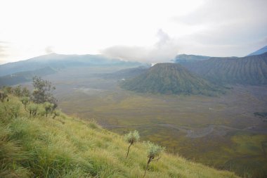 Ziyaretçilerle Bromo Volkanı 'nın Sabah Manzarası, Doğu Java, Endonezya