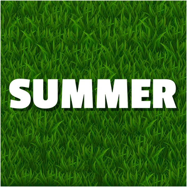 Summer background with grass — Stock Vector