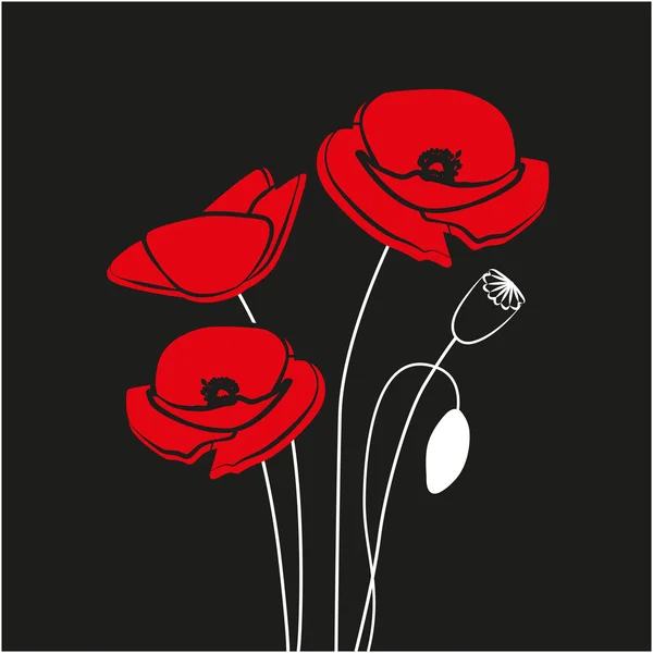 Flor de amapola roja aislada sobre fondo negro. — Vector de stock