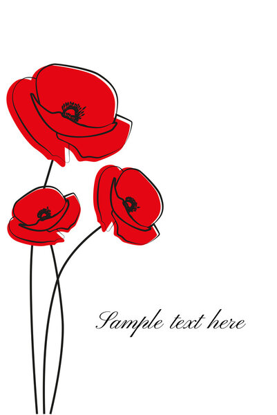 Красный цветок мака.