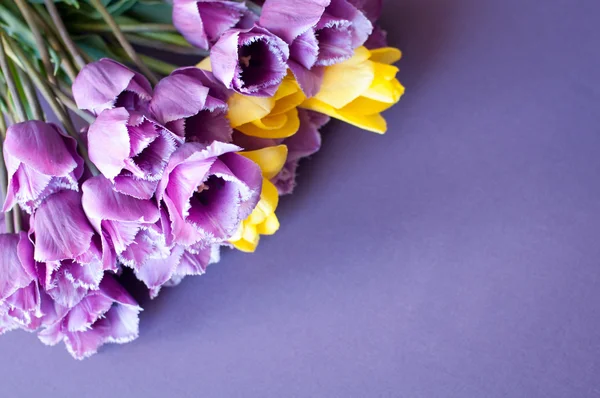 Fioletowe piękny bukiet tulipanów — Zdjęcie stockowe