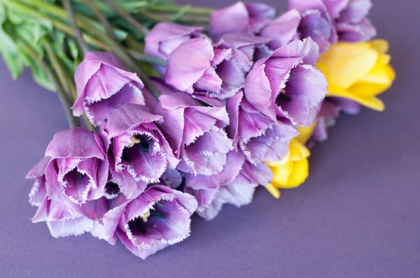 Fioletowe piękny bukiet tulipanów — Zdjęcie stockowe