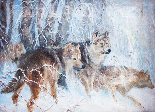 Gambar serigala, hewan, seni. , — Stok Foto