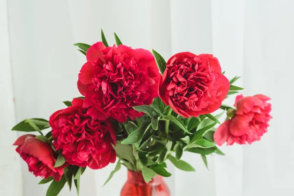 Spring-summer concept, a red peony bouquet on a white background — Stock Photo, Image