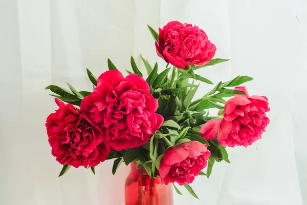 Spring-summer concept, a red peony bouquet on a white background — Stock Photo, Image