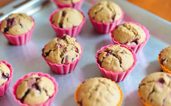 Muffins med lingon — Stockfoto