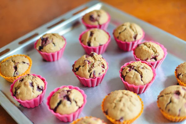 Muffins με Τάϊμπερρι — Φωτογραφία Αρχείου