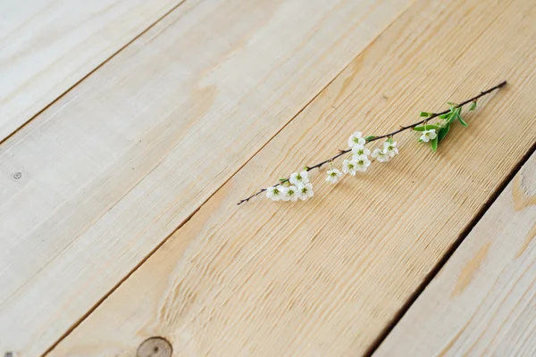 Vista angular sobre fondo de madera rama floreciente spirea — Foto de Stock