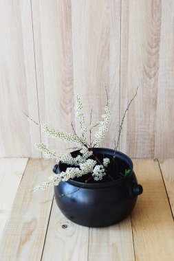 Ahşap arka plan üzerinde Doğu Asya kavramı, beyaz çiçek şube