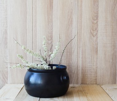 Ahşap arka plan üzerinde Doğu Asya kavramı, beyaz çiçek şube