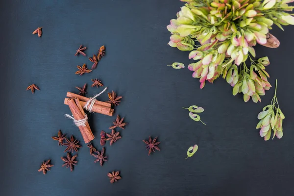 Canela, anís estrellado y semillas de arce — Foto de Stock