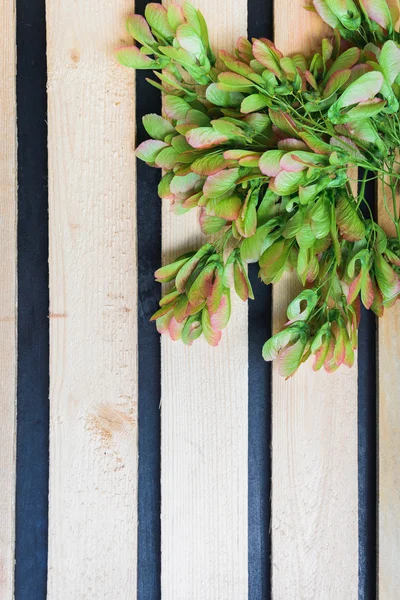 Semillas de arce sobre un fondo de madera — Foto de Stock