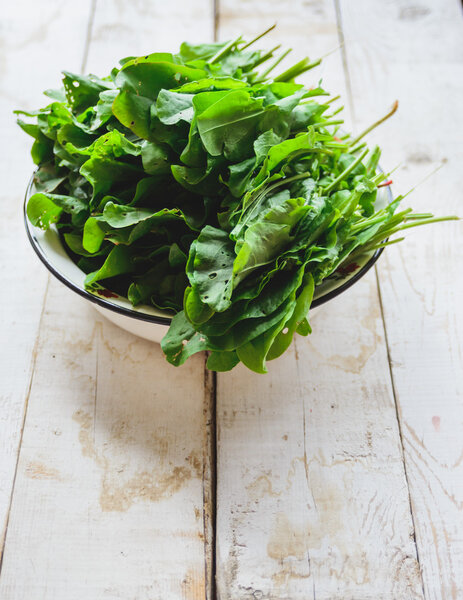 sorrel in a metal plate