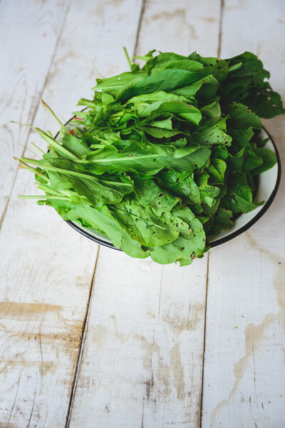 sorrel in a metal plate
