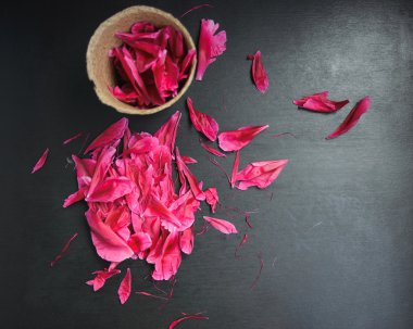 kuru yapraklar pions