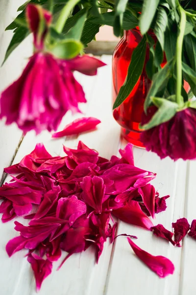 Bouquet di peonie secche — Foto Stock