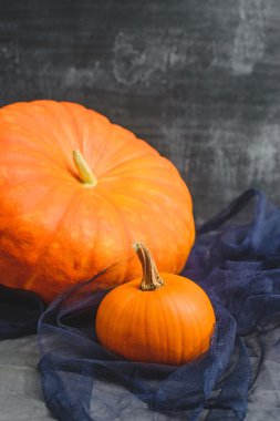 siyah bir zemin üzerine üç kabak