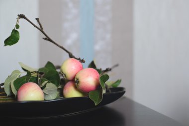 elma ağacı dalı masanın üzerine siyah plaka