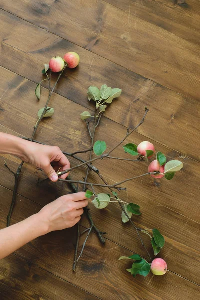 La base para el ramo de las ramas de manzana — Foto de Stock