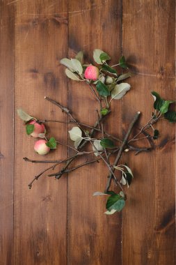 elma ağacı dalı masada