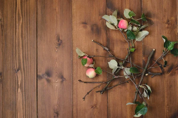 Gałąź drzewa jabłko na stole — Zdjęcie stockowe